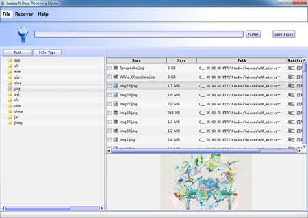 Lazesoft Data Recovery Home software